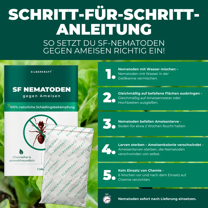 SF Nematoden gegen Ameisen
