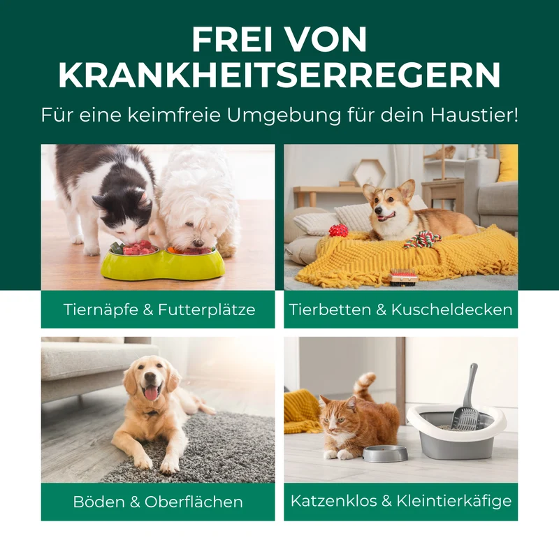 Giardienspray gegen Giardien, Bakterien, Viren & Pilze inkl. kostenloses eBook