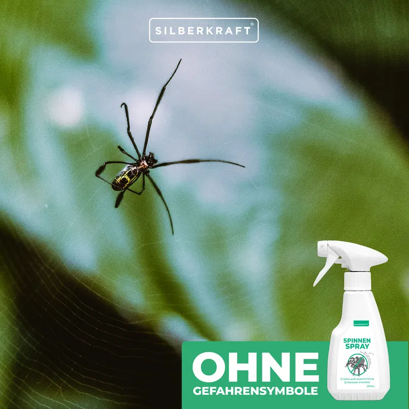 Spinnenspray Klein