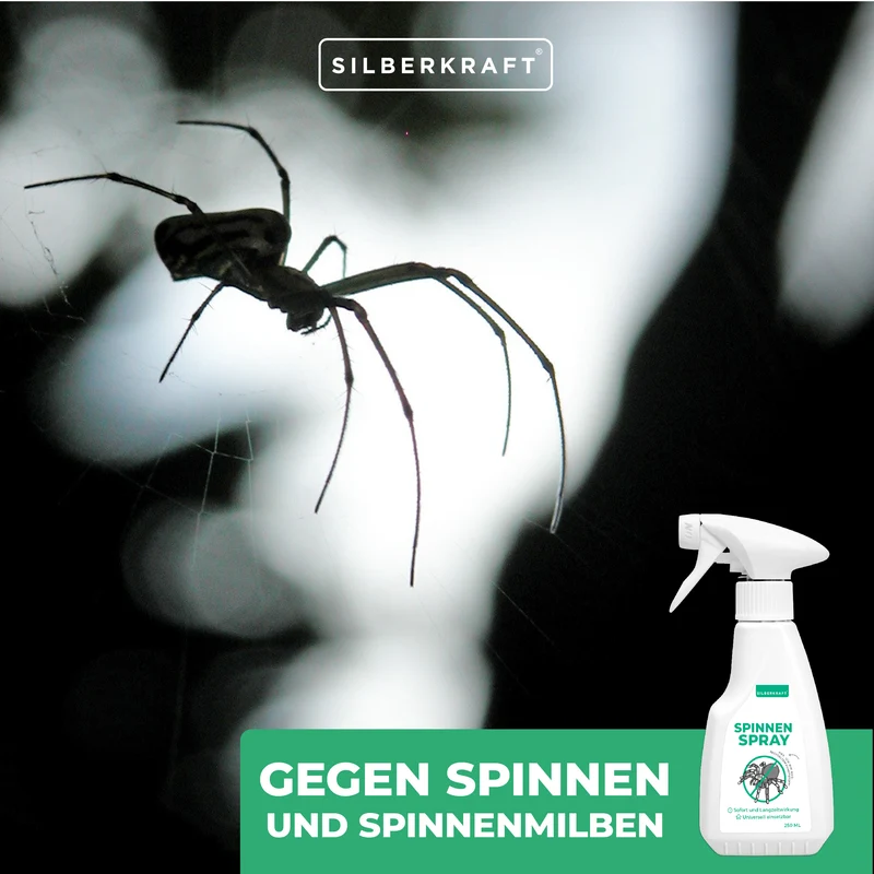 Spinnenspray Klein