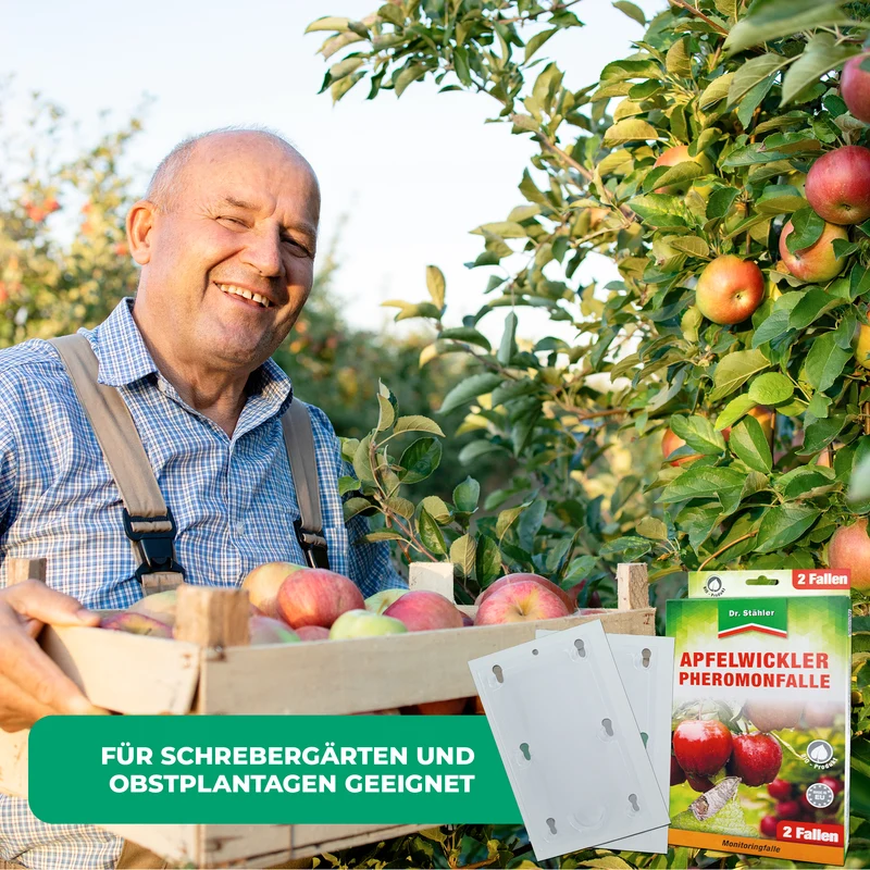 Apfelwickler Pheromonfalle: Effektiver Schutz für Obstbäume