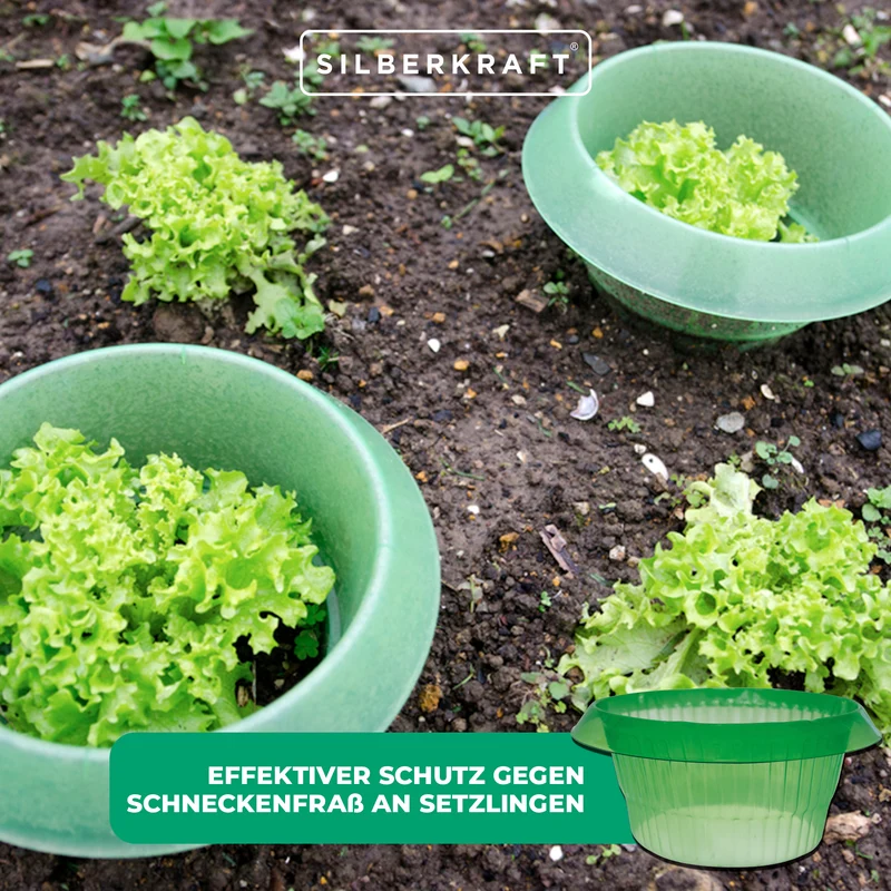 Schneckenkragen: Effektiver Schutz gegen Schnecken und Würmer an Setzlingen