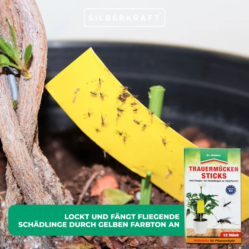 Trauermücken-Sticks: Effektive Bekämpfung von Weiße Fliegen, Trauermücken, Obst- und Essigfliegen, Thripsen und Zikaden