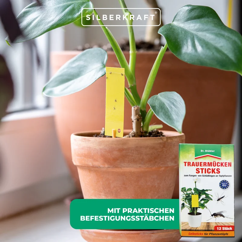 Trauermücken-Sticks: Effektive Bekämpfung von Weiße Fliegen, Trauermücken, Obst- und Essigfliegen, Thripsen und Zikaden