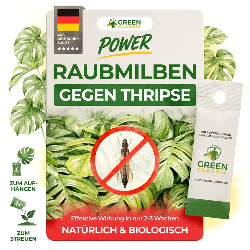 Acariens prédateurs contre les thrips