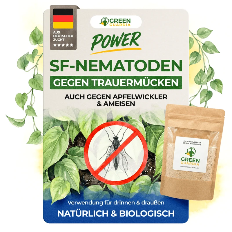 SF-nematoden tegen rouwmuggen, fruitmotten en mieren