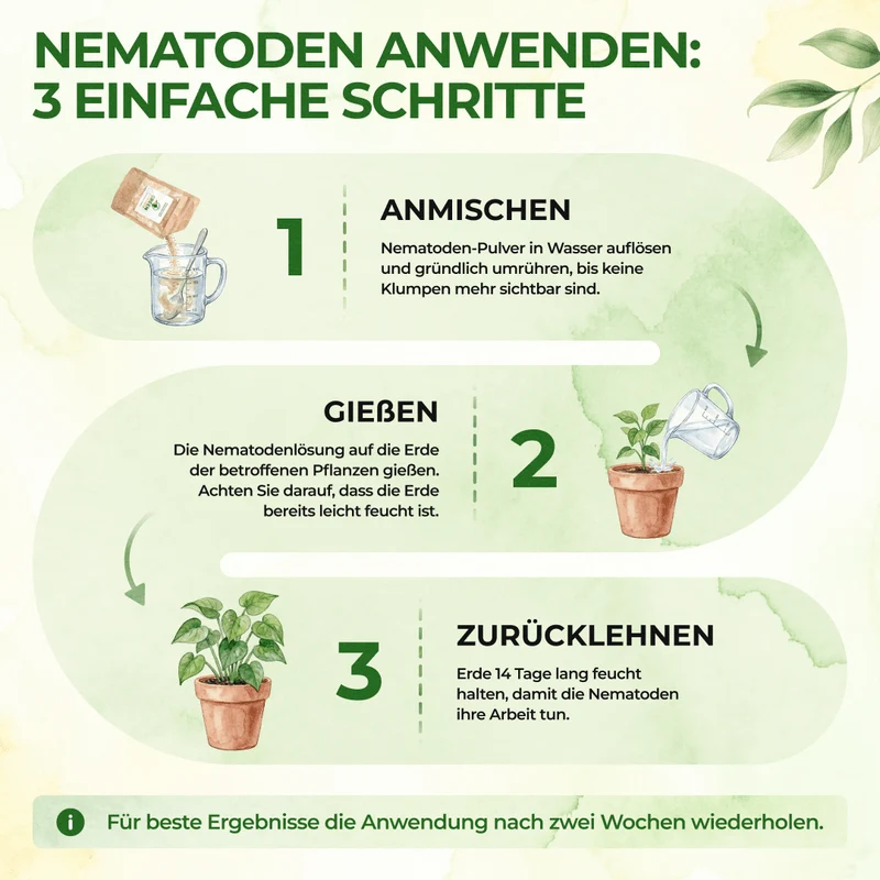 SF-nematoden tegen rouwmuggen, fruitmotten en mieren