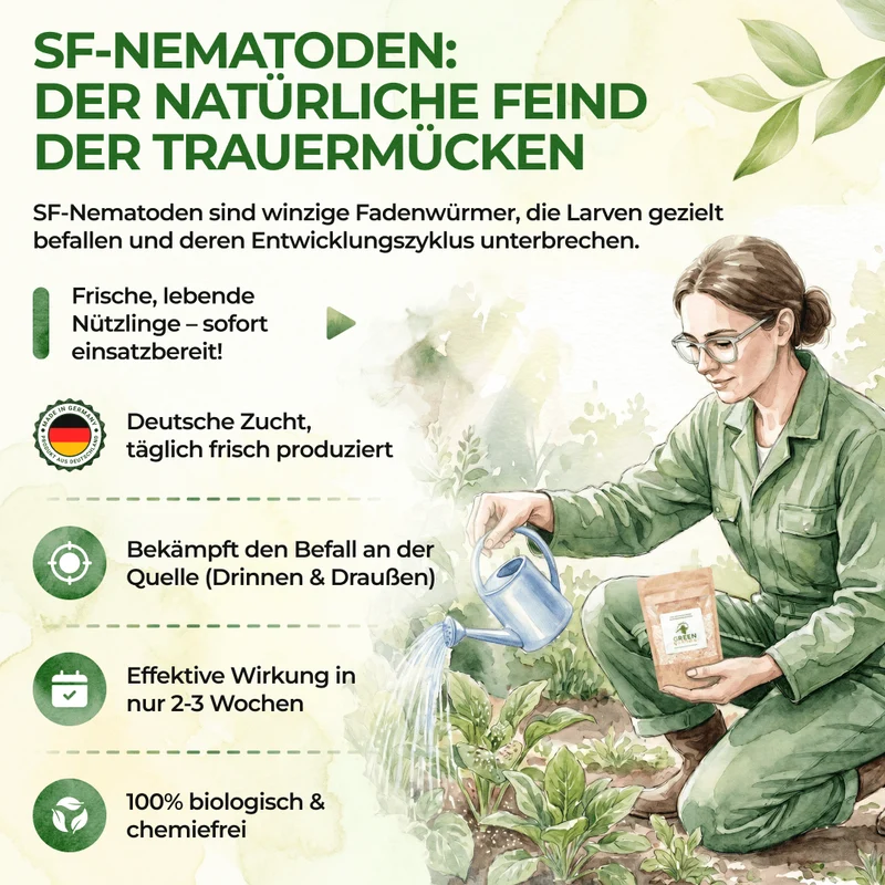 SF-nematoden tegen rouwmuggen, fruitmotten en mieren