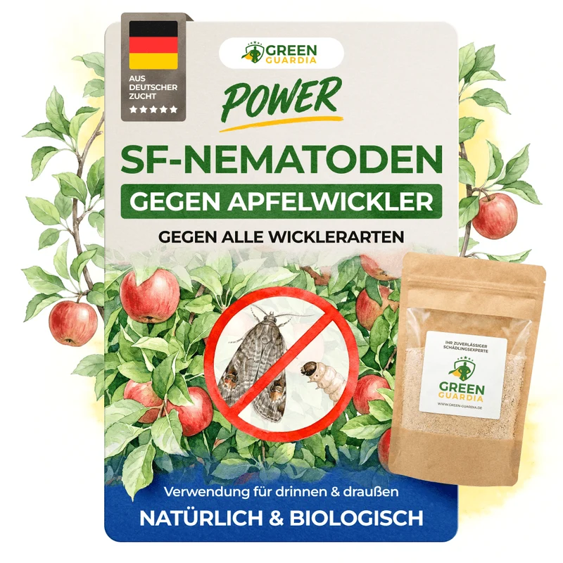 Nématodes SF contre le carpocapse