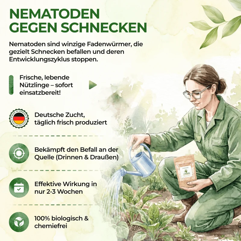 Nicienie przeciwko wszystkim gatunkom ślimaków