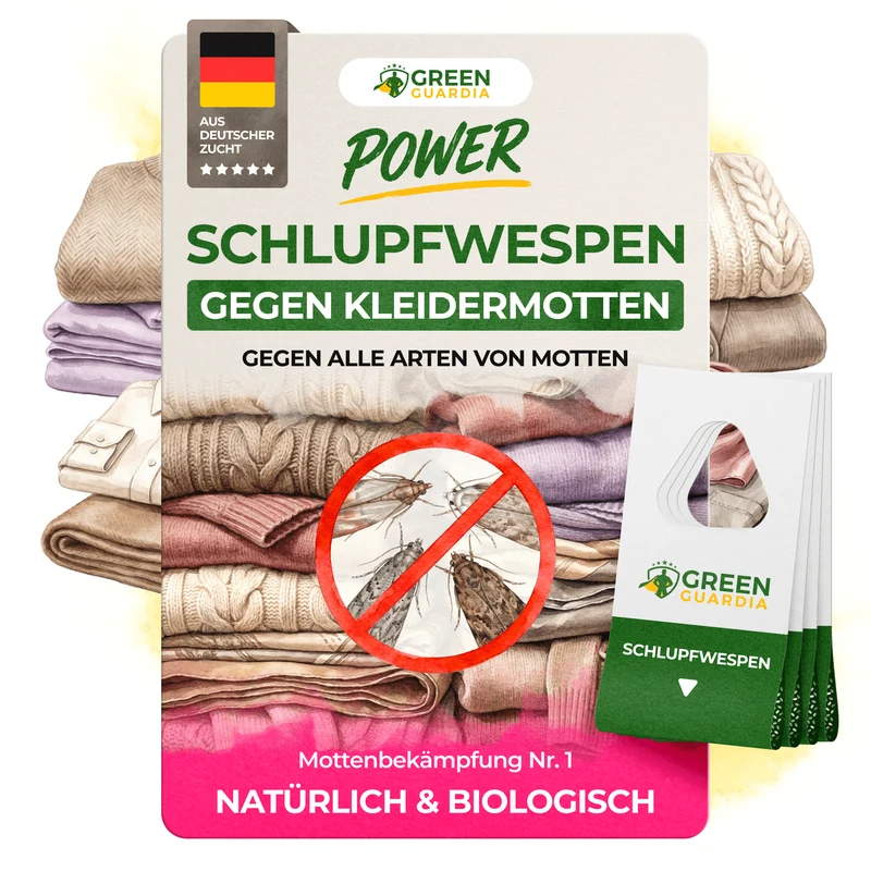 Schlupfwespen gegen Kleidermotten