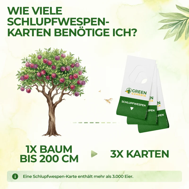 Schlupfwespen gegen Pflaumenwickler