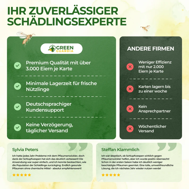 Schlupfwespen gegen Pflaumenwickler