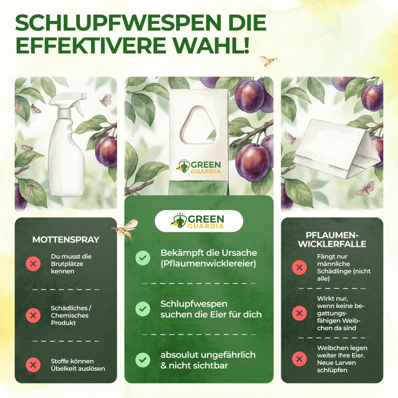 Schlupfwespen gegen Pflaumenwickler