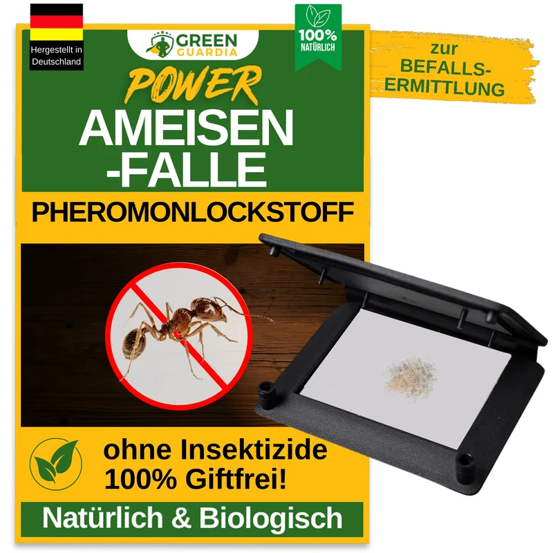 Piège à fourmis