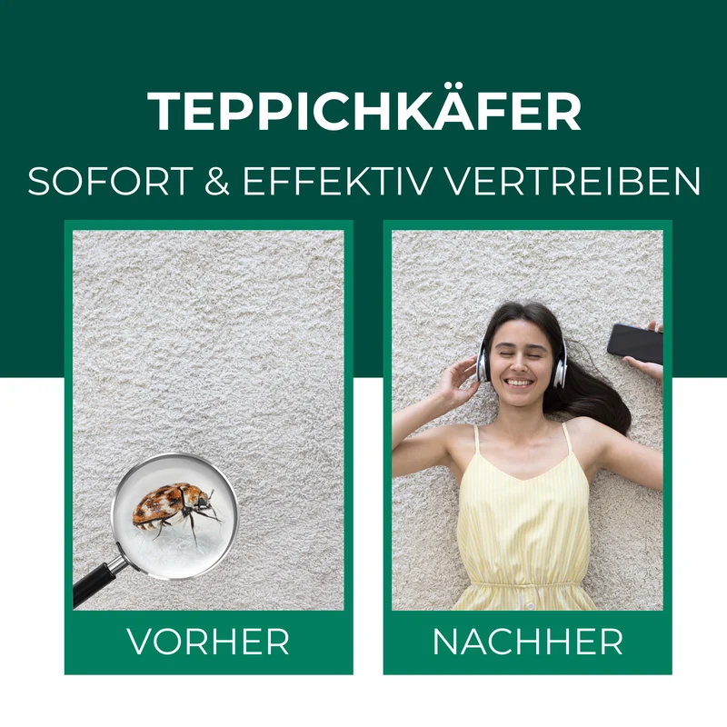 Teppichkäfer Spray - Teppichkäfer vertreiben & loswerden