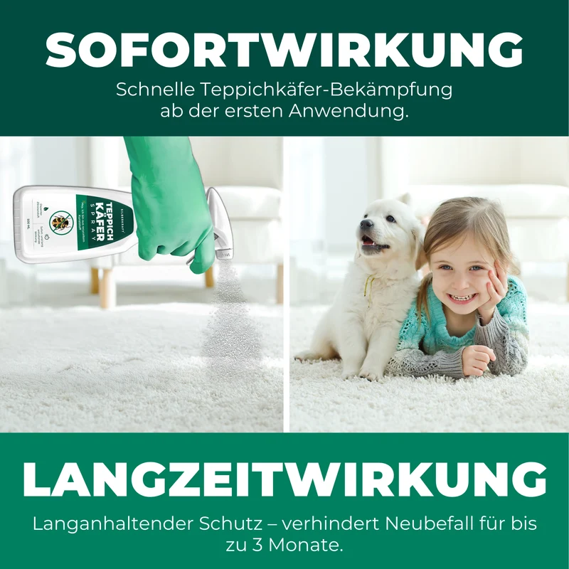 Teppichkäfer Spray - Teppichkäfer vertreiben & loswerden