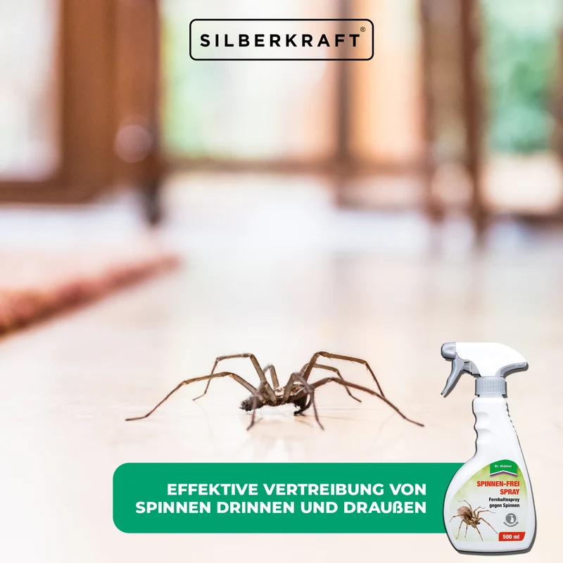 Spinnen-Frei Spray: Wirksames Vertreibungsspray gegen Spinnen