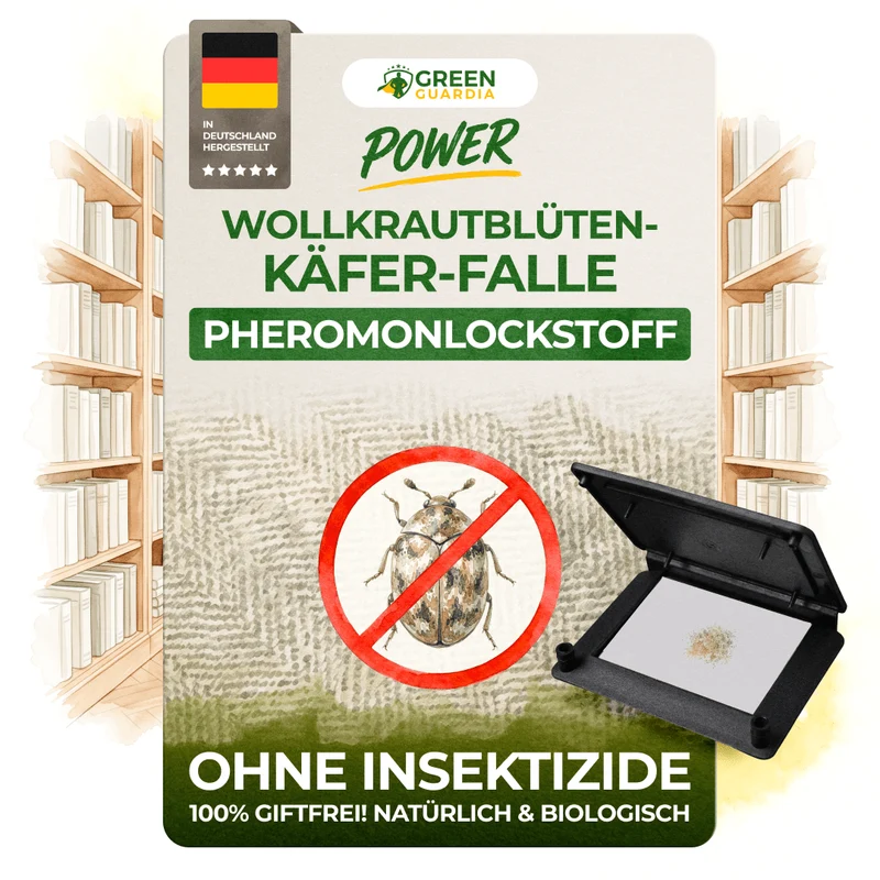 Wollkrautblütenkäfer Falle