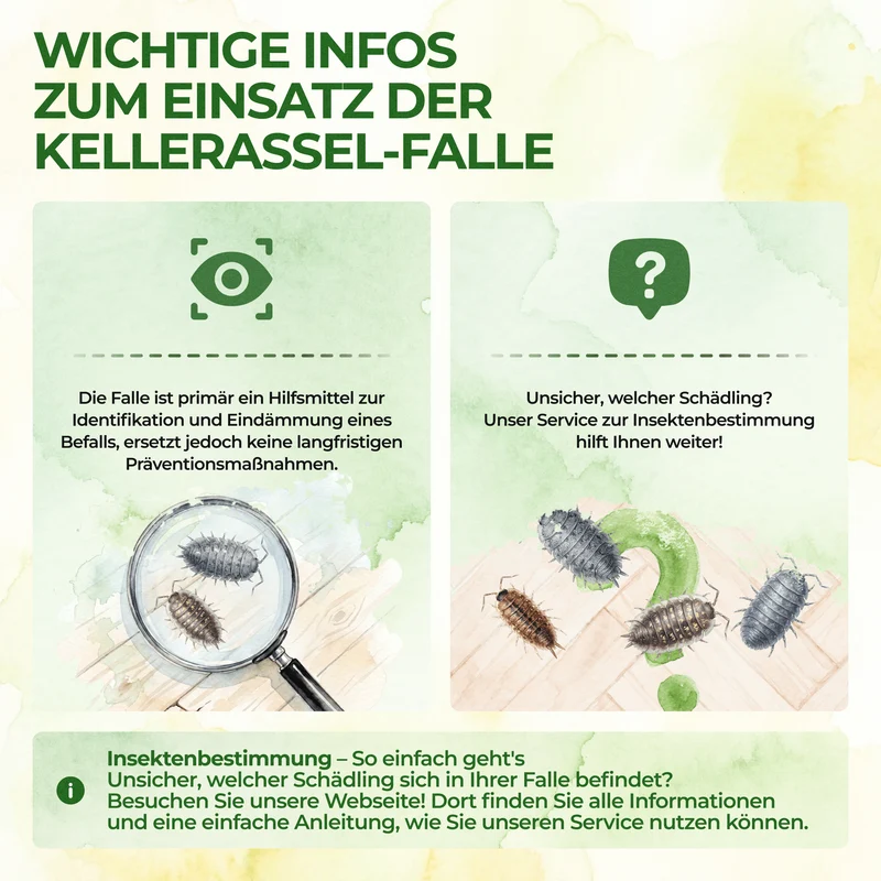 Kellerasseln Falle