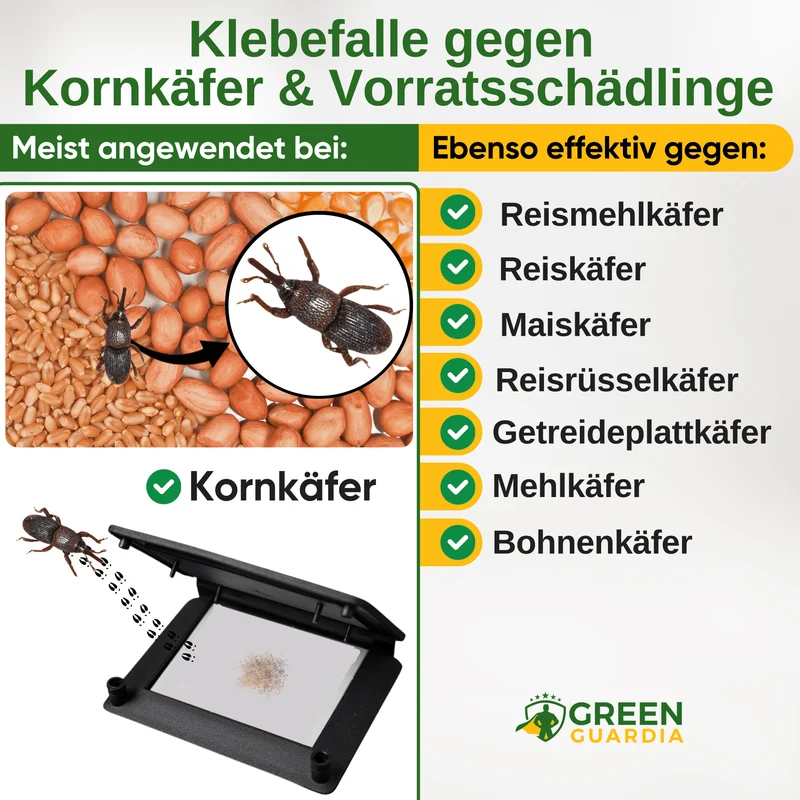 Kornkäfer Falle