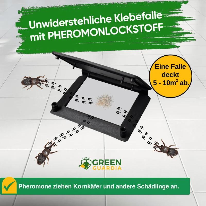 Kornkäfer Falle