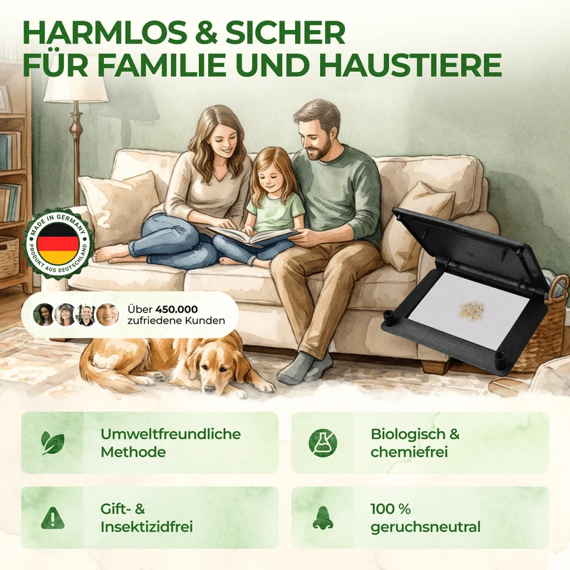 Teppichkäfer Falle