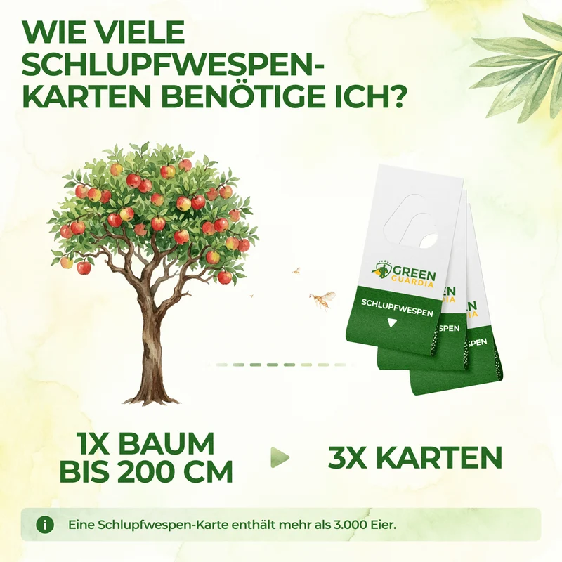 Schlupfwespen gegen Apfelwickler
