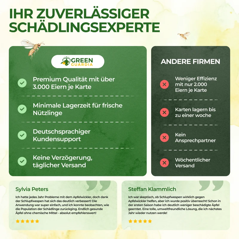 Schlupfwespen gegen Apfelwickler