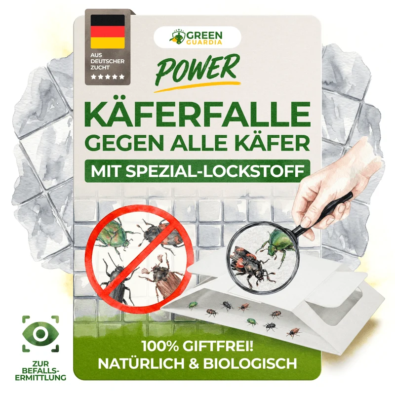 Käfer Falle