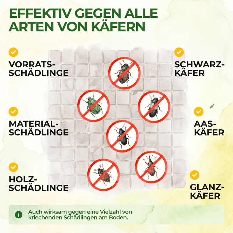 Käfer Falle