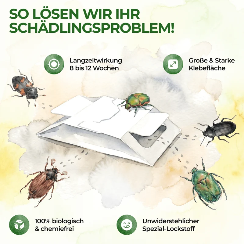 Käfer Falle