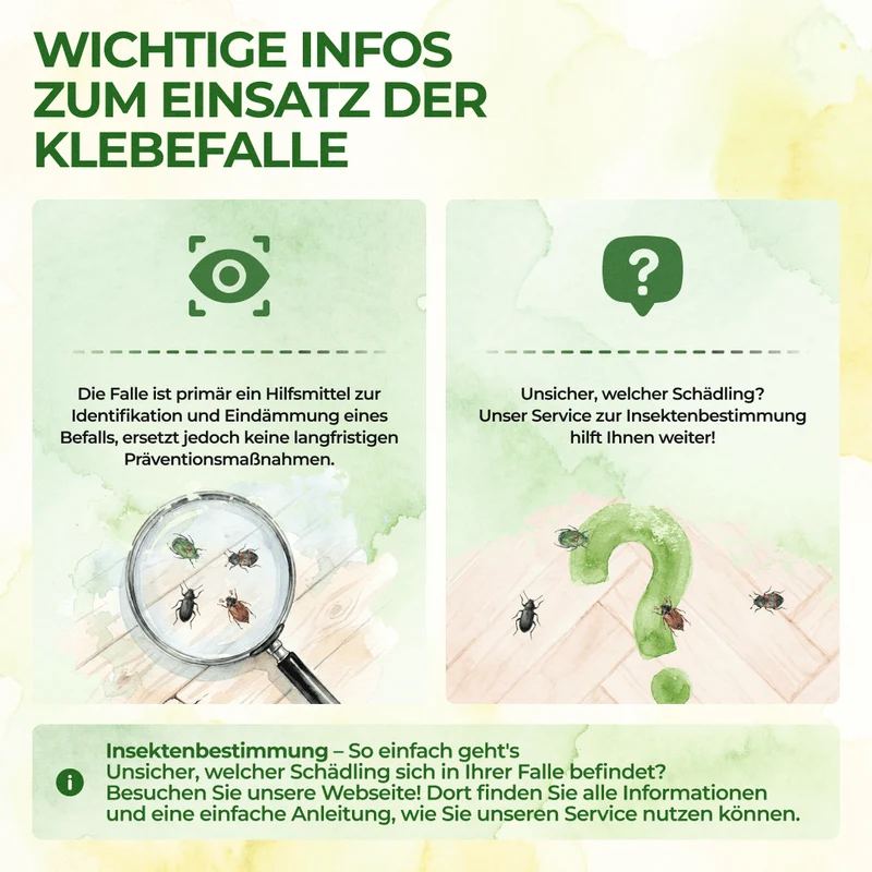 Käfer Falle