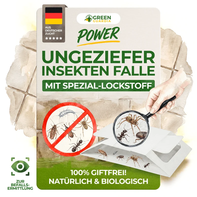 Ongedierte-/insectenval met speciaal lokmiddel