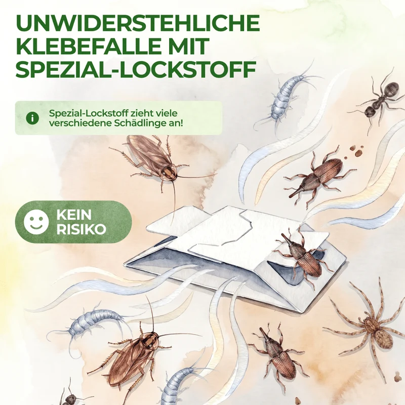 Ongedierte-/insectenval met speciaal lokmiddel
