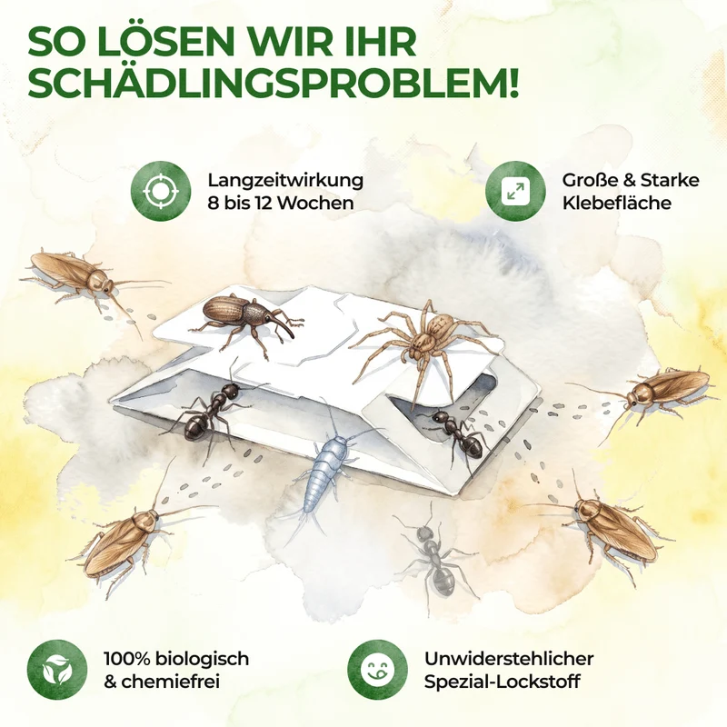 Ongedierte-/insectenval met speciaal lokmiddel
