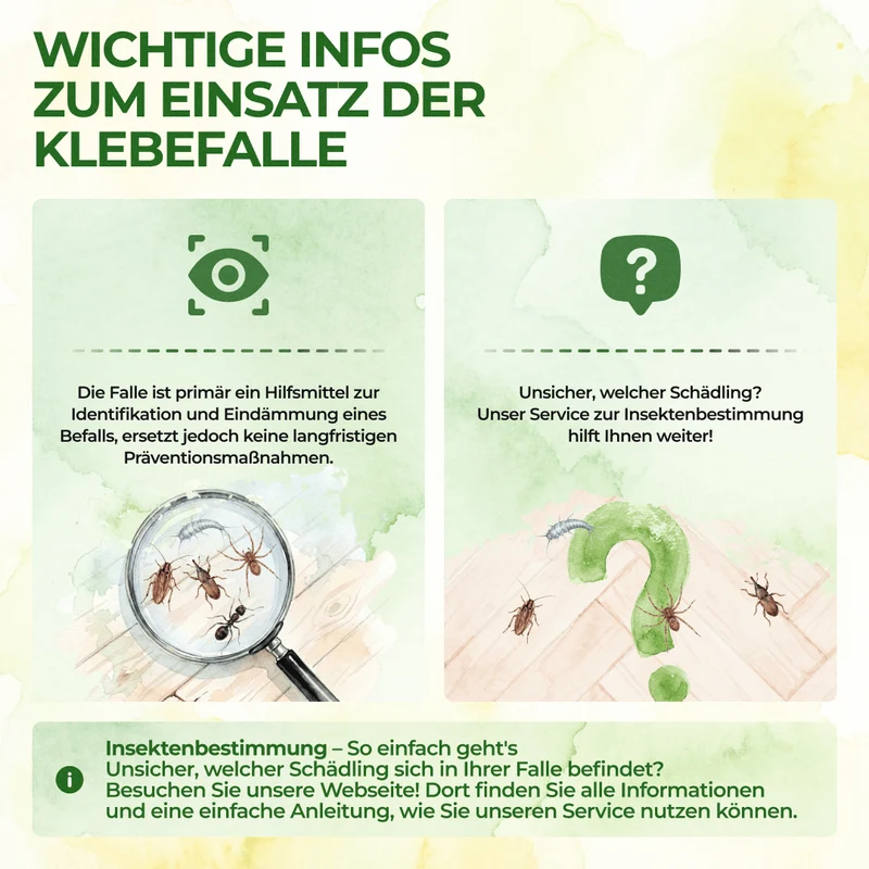 Ongedierte-/insectenval met speciaal lokmiddel