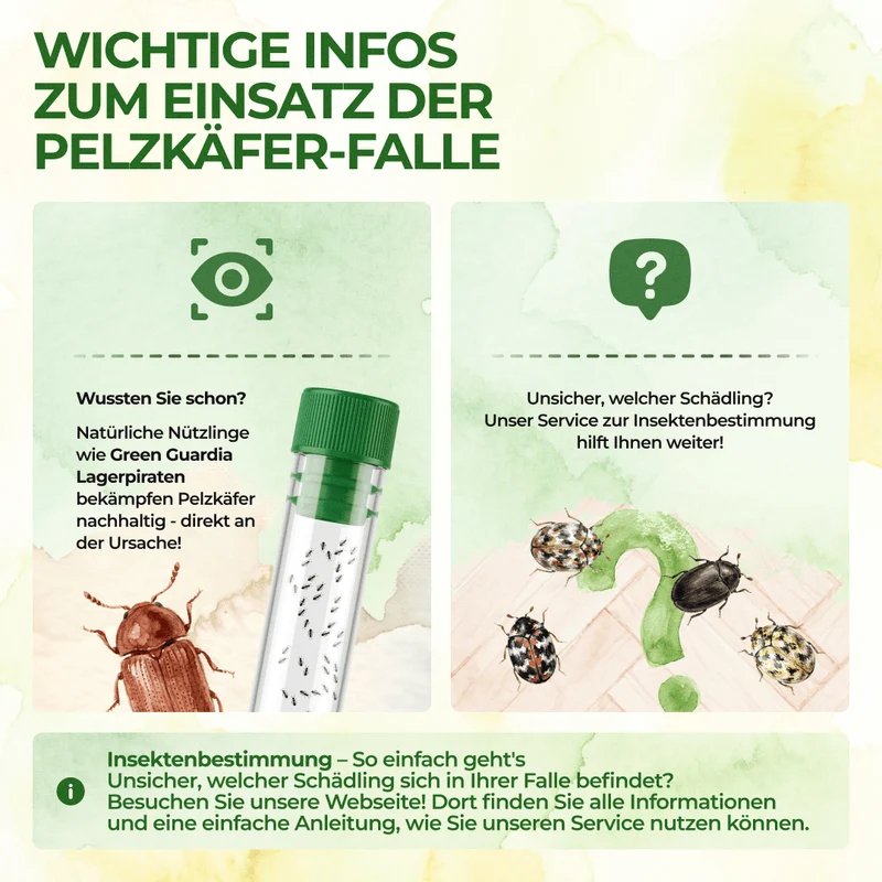 Pułapka na chrząszcze futerkowe ze specjalnym atraktantem