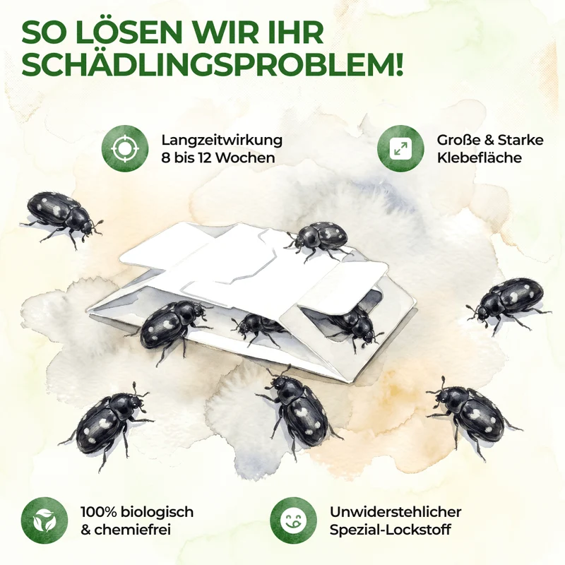 Pułapka na chrząszcze futerkowe ze specjalnym atraktantem