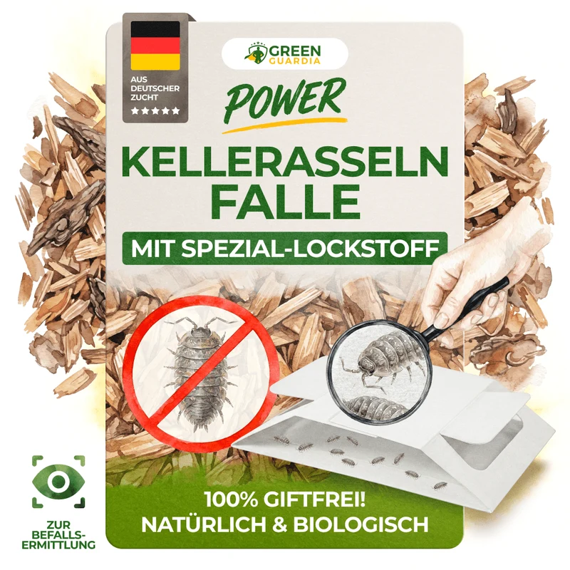 Kellerasseln Falle