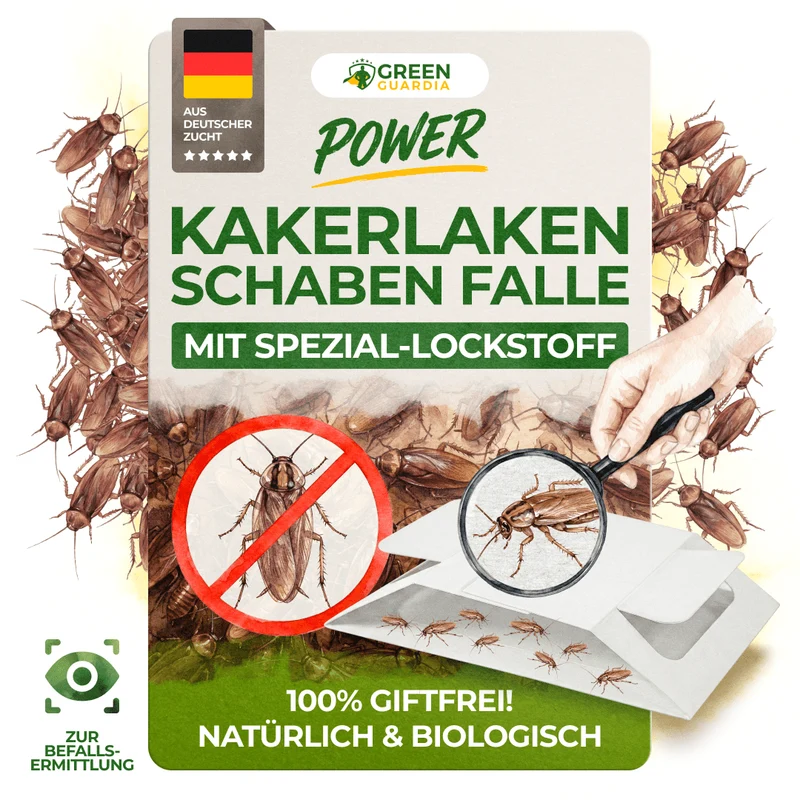 Kakerlaken / Schaben Falle