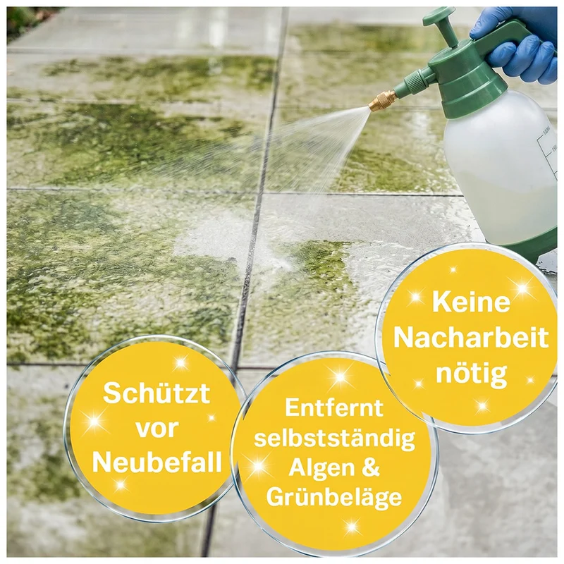 Schmidt's Grünbelagentferner