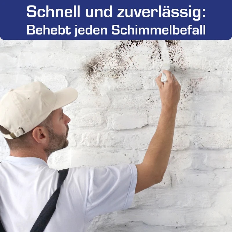 AGO Schimmelentferner mit Pinsel