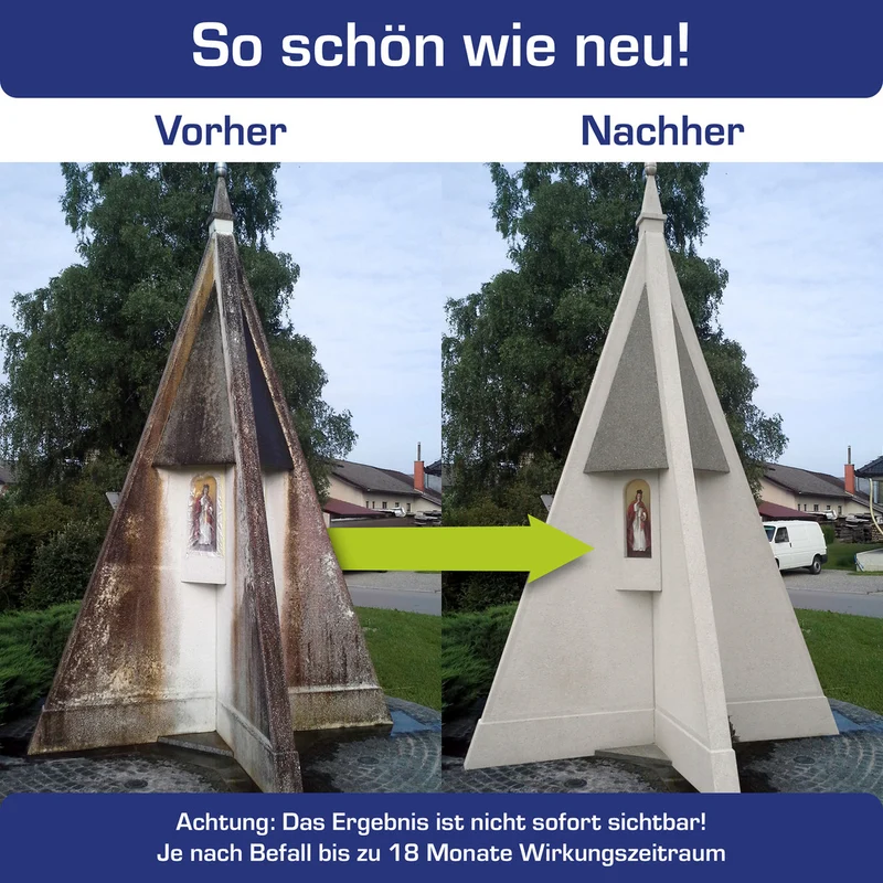 AGO Quart® Algen- und Grünbelagentferner