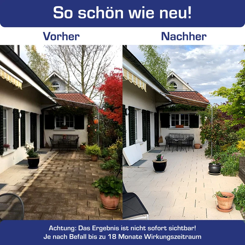 AGO Quart® Algen- und Grünbelagentferner