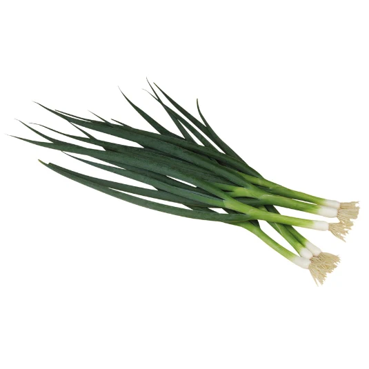 Lauchzwiebel