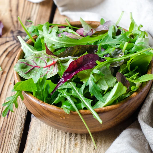 Salat Mix (24 Stück)