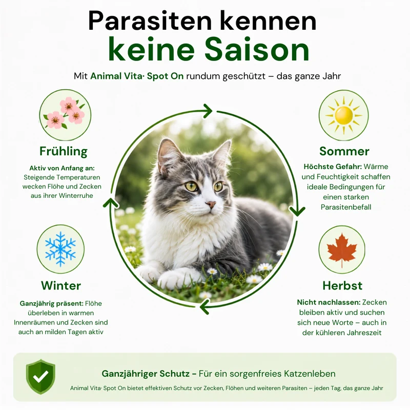 Animal Vita® Combo Spot On natürlicher Zeckenschutz für Katzen [6 Monate Schutz]