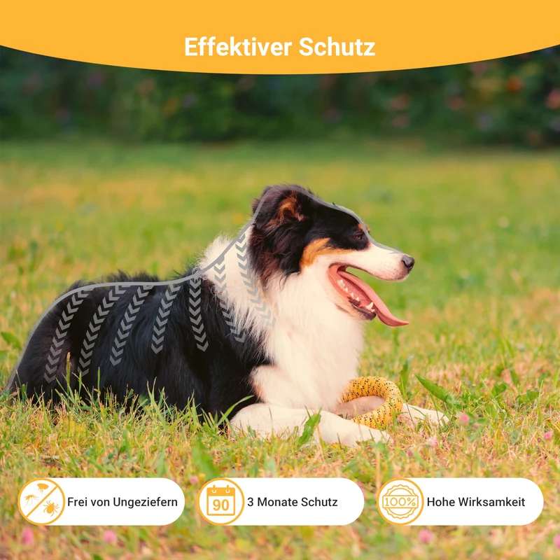 Animal Vita® Spot On Zeckenschutz für Hunde (2 bis 10kg)