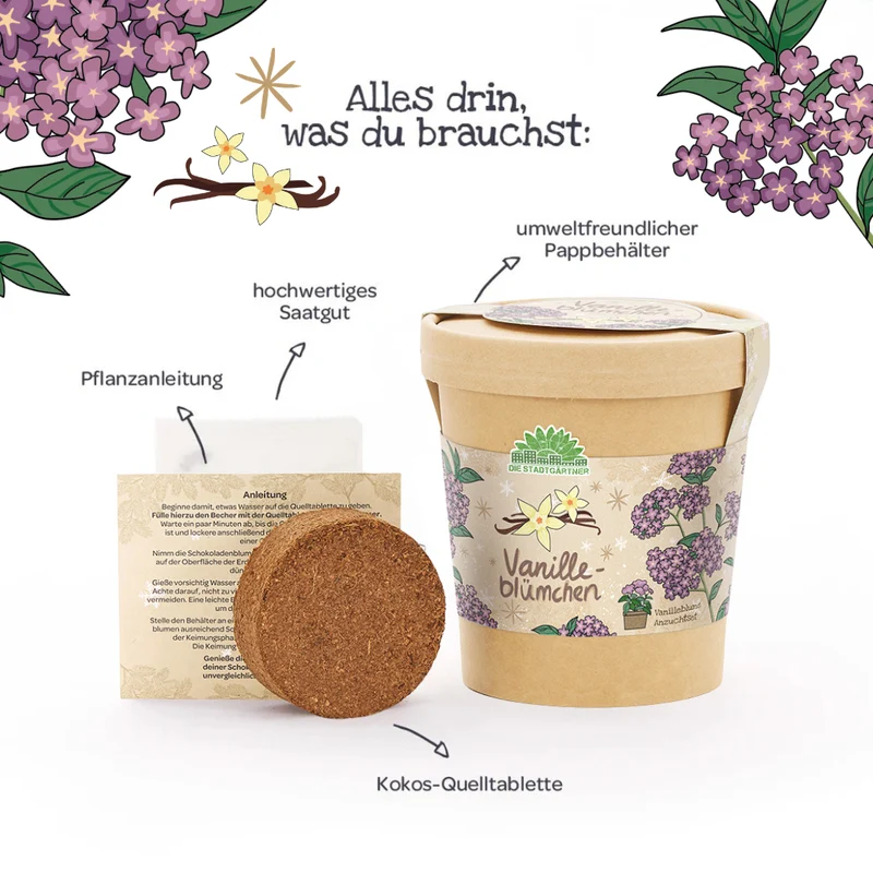 Vanilleblume aus dem Becher